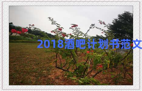 2018酒吧计划书范文