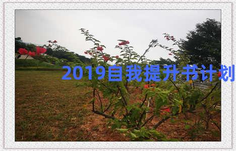 2019自我提升书计划