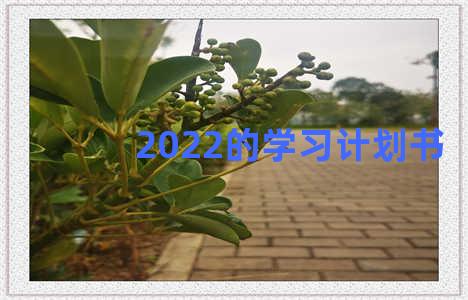 2022的学习计划书