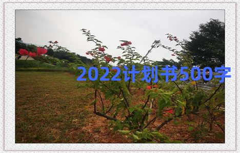 2022计划书500字