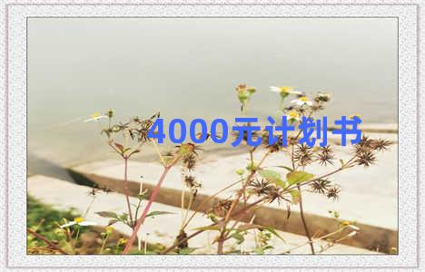 4000元计划书