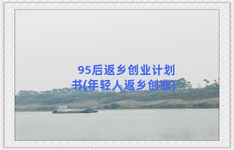 95后返乡创业计划书(年轻人返乡创业)