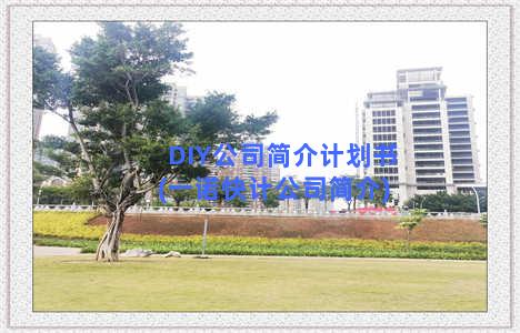 DIY公司简介计划书(一诺快计公司简介)