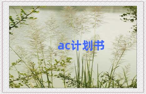 ac计划书