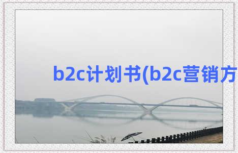 b2c计划书(b2c营销方案)