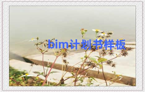 bim计划书样板