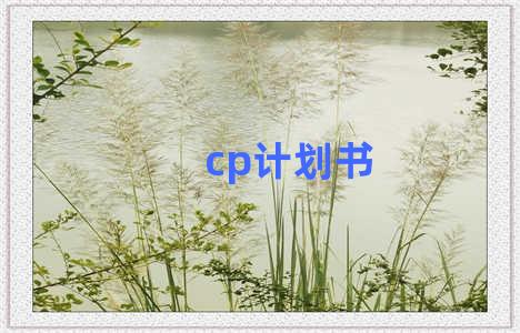 cp计划书