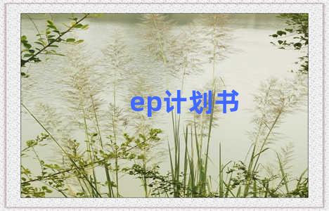 ep计划书