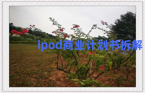 ipod商业计划书拆解