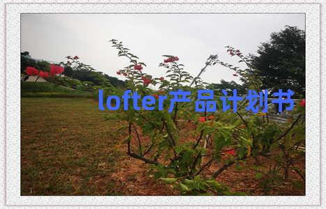 lofter产品计划书