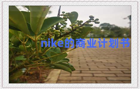 nike的商业计划书