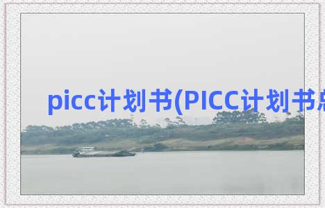 picc计划书(PICC计划书总目标)