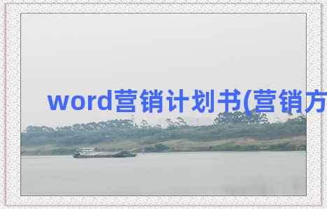 word营销计划书(营销方案word)