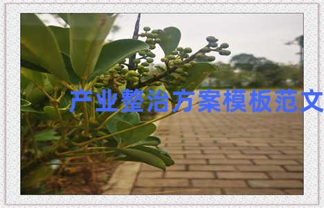 产业整治方案模板范文