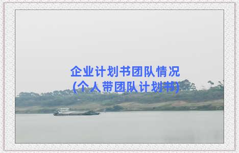 企业计划书团队情况(个人带团队计划书)