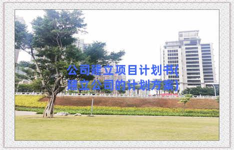 公司建立项目计划书(建立公司的计划方案)