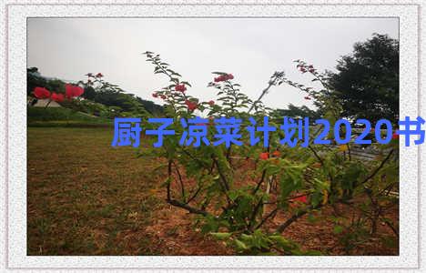 厨子凉菜计划2020书