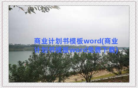 商业计划书模板word(商业计划书模板word免费下载)