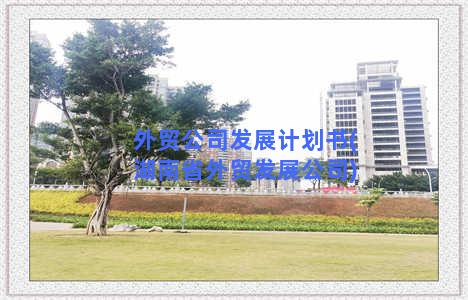外贸公司发展计划书(湖南省外贸发展公司)