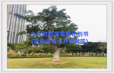 小升初数学学霸计划书(学霸训练小升初数学)