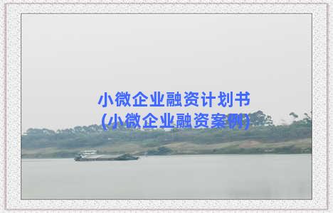 小微企业融资计划书(小微企业融资案例)