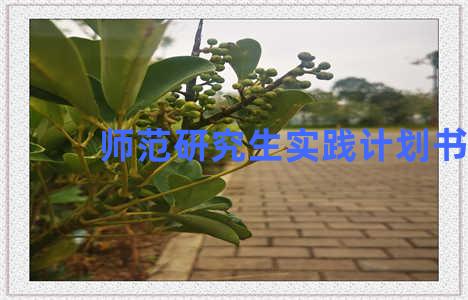 师范研究生实践计划书