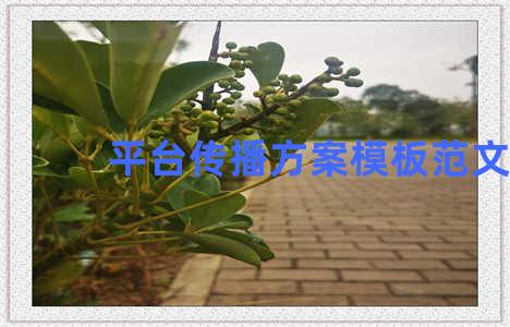 平台传播方案模板范文