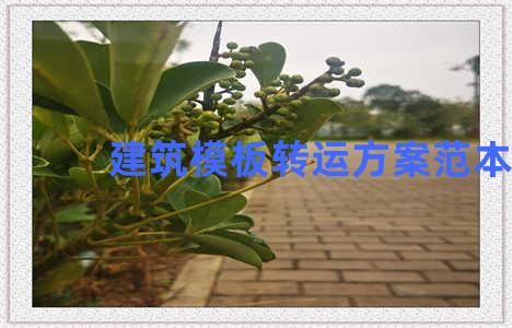 建筑模板转运方案范本