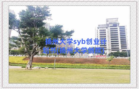 扬州大学syb创业计划书(扬州大学创院)