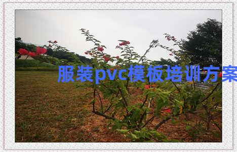 服装pvc模板培训方案