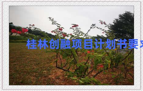桂林创融项目计划书要求