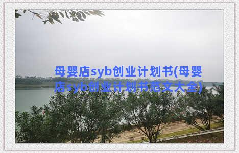 母婴店syb创业计划书(母婴店syb创业计划书范文大全)