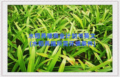 水稻养殖商业计划书英文(水稻养殖所需环境条件)