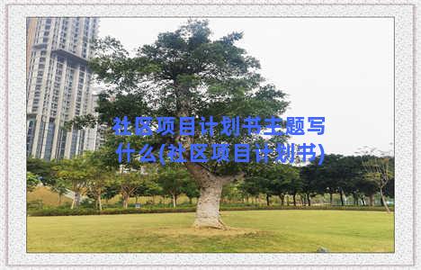 社区项目计划书主题写什么(社区项目计划书)