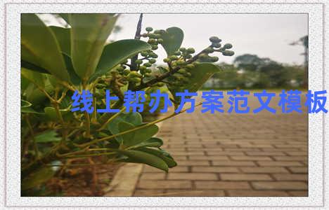 线上帮办方案范文模板